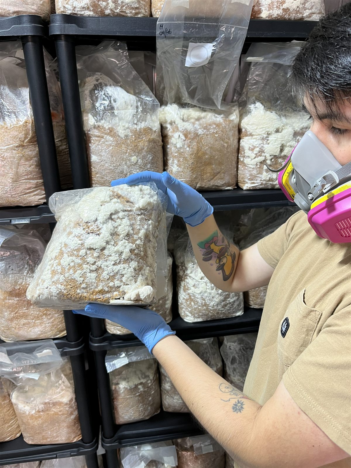 Producción de Hongos del Sur